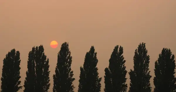 Україна знову прогріється до +33°