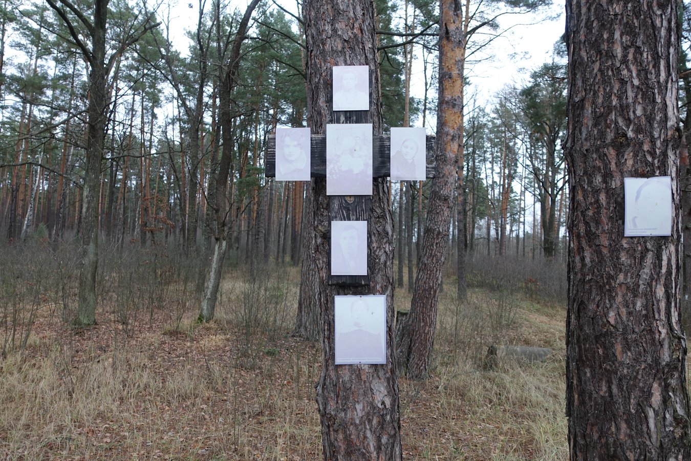 Корюківка — простір можливостей7