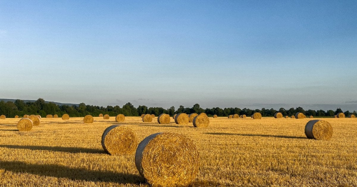 Погода на найближчі дні: коли чекати спеки