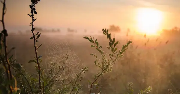 День ангела 15 серпня: кого вітаємо з іменинами