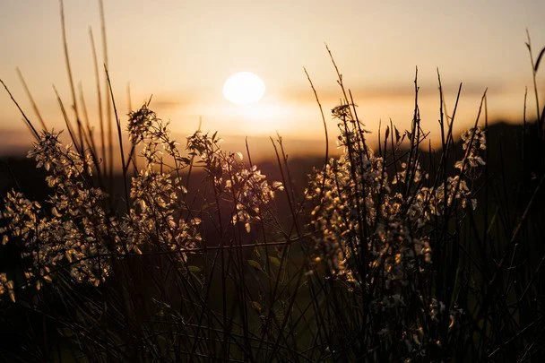 Народні прикмети 20 серпня / © pexels.com