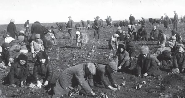 Андрійко і Олюнька йдуть до школи. Галина Пагутяк7