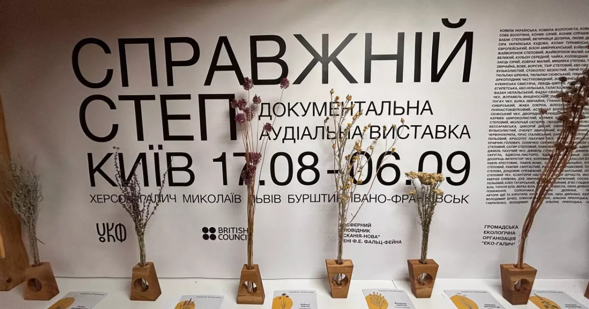 20 хвилин у справжньому степу: у Києві триває незвичайна інклюзивна виставка0