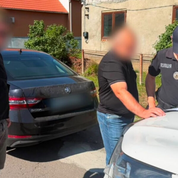 На Закарпатті викрили лісокрада за знищення букових насаджень