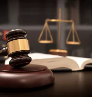 Дефіцит запасів та експортний попит: ціни на соняшник зросли до 21,5 тисячі гривень7