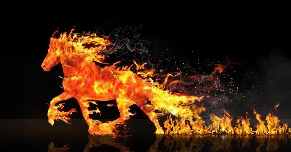 2026: прогнози для знаків зодіаку на рік Тварини-покровителя