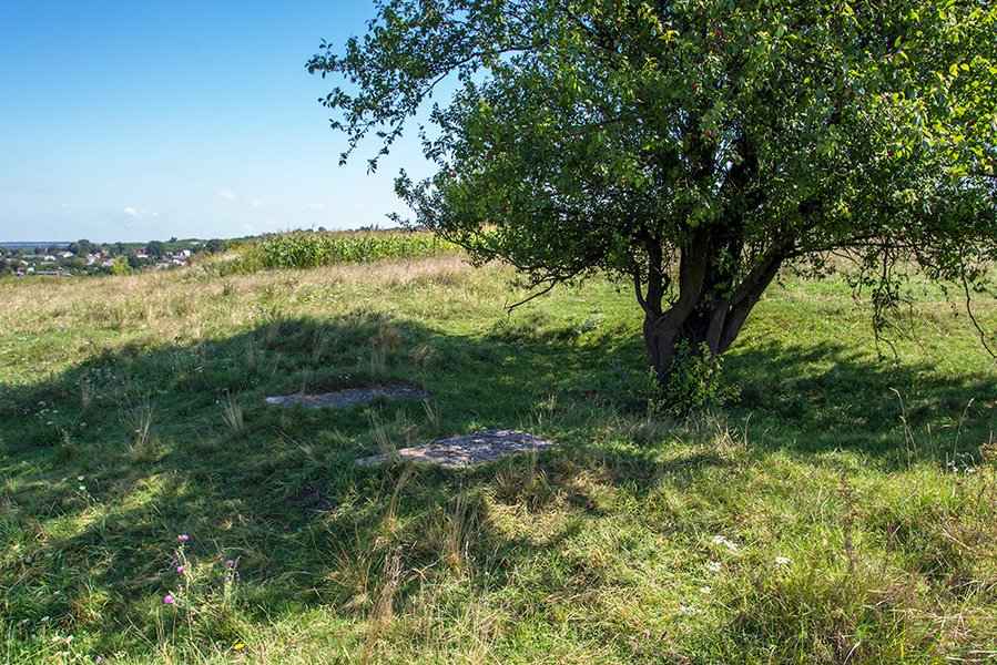 Молебень на Маковія. Галина Пагутяк1