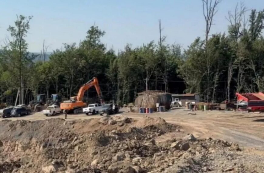 На Закарпатті викрили мільярдну схему незаконного видобутку вулканічної породи