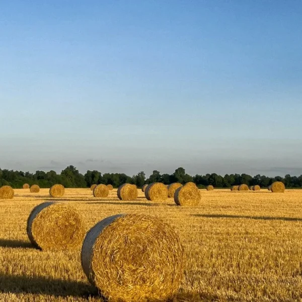 Найочікуваніша спека: синоптикиня прогнозує різкі температурні коливання