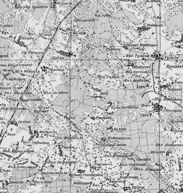 "Між трьома ворогами": шлях командира УПА Порфирія Антонюка ("Сосенка")4