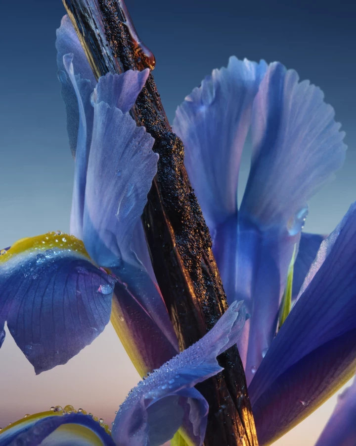 Guerlain переосмислює легендарний аромат L'Heure Bleu 1912 року7